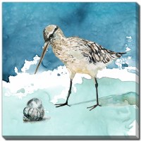 24" Sq Shorebirds 2 Coastal Canvas