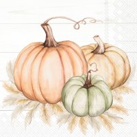 6.5" Square Multipastel Pumpkin Trio Lunch Napkins