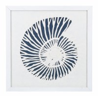 14" Sq Navy and White Paper Nautilus Shell in a White Frame Under Glass