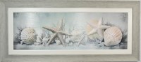 27" x 61" Multipastel Shells Coastal Gel Textured Print in a Gray Wash Frame