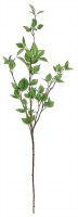 39" Faux Green Mini Birch Leaf Branch