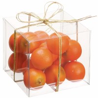 Box of 16 Small Faux Oranges