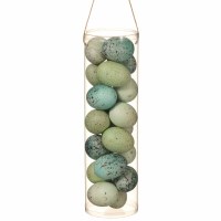 Tube of 19 Faux Blue and Squa Eggs