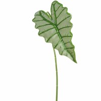 36" Faux White and Green Alocasia Leaf Spray