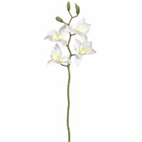 18" Faux Cream Dendrobium Orchid Spray