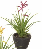 9" Faux Red Kangaroo Plant in a Black Cement Pot