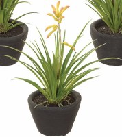 9" Faux Yellow Kangaroo Plant in a Black Pot