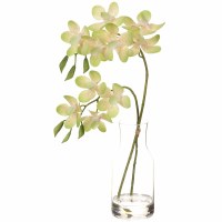 17" Faux Green Orchid in a Clear Glass Vase