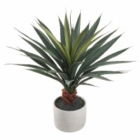 23" Faux Green Agave Tree in a White Cement Pot