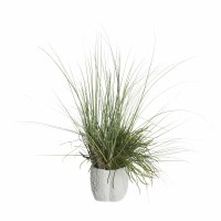 37" Faux Green Grasses Mixed with Driftwood in a Faux White Coral Pot