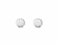 Silver Toned Scallop Shell Earrings