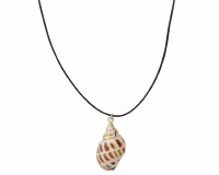 Natural Shell on a Cord Necklace