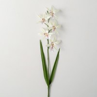 28" Faux White African Orchid