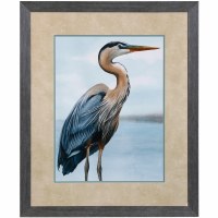 36" x 30" Back Bay Heron 1 Coastal Framed Print Under Glass