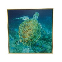 36" Sq Sea Turtle Under the Water Framed Canvas