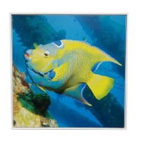 36" Sq Yellow Fish Framed Canvas