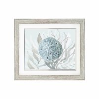 23" x 29" Blue and Gray Sand Dollar Coastal Gel Textured Print in a Graywash Frame