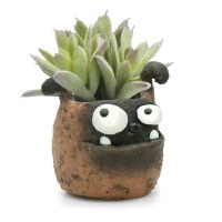 4" Brown Duke Boxer Planter