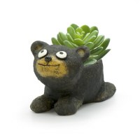 4" Paddy Black Bear Cub Planter