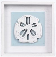 7" Sq Green Sand Dollar Framed Coastal Plaque