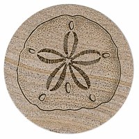 Set of Four Round Sand Dollar Sandstone Coasters