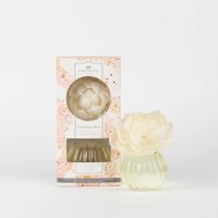 8 Oz Cashmere Kiss Fragrance Flower Diffuser