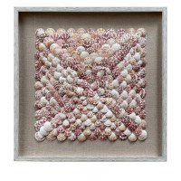 30" Sq Pectin Shell Shadow Box Framed Collage