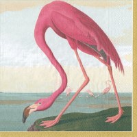 Audobon Flamingo Beverage Napkins