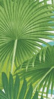 Palm Fronds Guest Towels