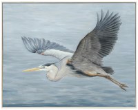 40" x 50" Blue Heron Flying Framed Coastal Canvas