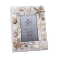 4" x 6" Mother of Pearl and Shell Picture Frame
