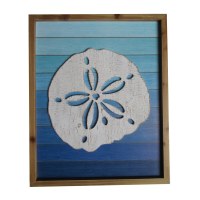 17" x 14" Distressed White Sand Dollar on Blue Background Coastal Wood Wall Art Plaque