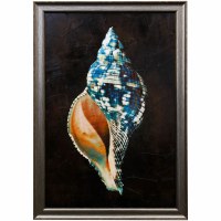 41" x 29" Ocean Treasure 3 Gel Textured Framed Print