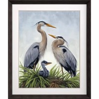 51" x 42" Young Heron Family Coastal Framed Print Under Glass