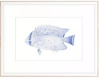 21" x 28" Blue Lines Fish Coastal Framed Print Under Glass