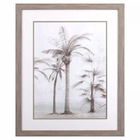 33" x 27" Vintage Palm Tree 1 Coastal Framed Print Under Glass