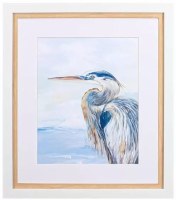 30" x 26" Blue Wing Heron Coastal Framed Print Under Glass