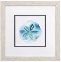 11" Sq Blue Sand Dollar Coastal Framed Print Under Glass