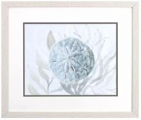 17" x 20" Blue and Gray Sand Dollar Coastal Framed Print Under Glass