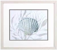 17" x 20" Blue and Gray Scallop Shell Coastal Framed Print Under Glass