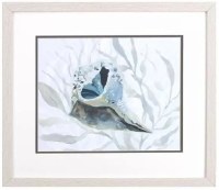 17" x  20" Blue and Gray Broken Whelk Shell Coastal Framed Print Under Glass