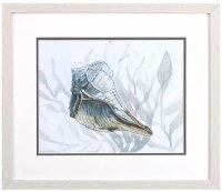 17" x 20" Blue and Gray Whole Whelk Shell Coastal Framed Print Under Glass