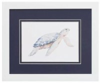 9" x 11" Sea Turtle With a White Back Coastal Framed Print Under Glass
