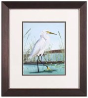 18" x 16" White Egret With Head Up Coastal Framed Print Under Glass