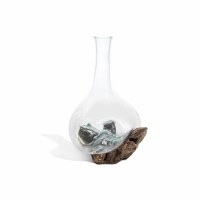 16" Glass Vase on Driftwood