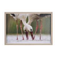 29" x 49" Birds DrinkTogether Framed Coastal Print Under Glass