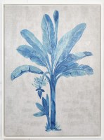 46" x 34" Blue Banana Tree 1 Canvas in a White Frame