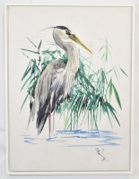 40" x 30" Gray Heron Canvas in a White Frame