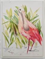 40" x 30" Roseate Spoonbill Canvas in a White Frame