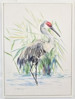 40" x 30" Sandhill Crane Canvas in a White Frame
